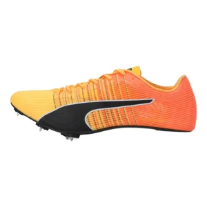 puma evospeed tokyo future