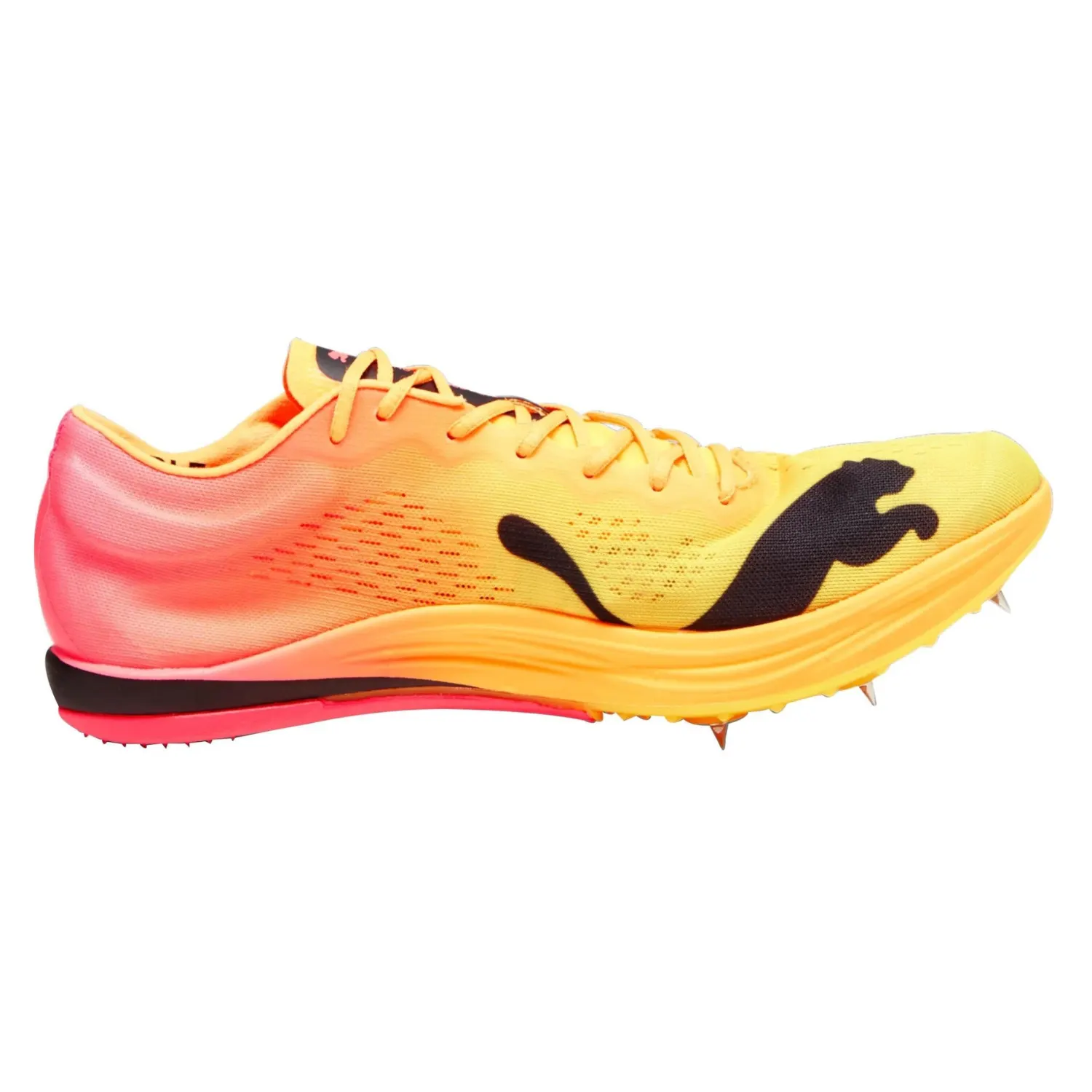 puma men's evospeed long distance nitro elite spikes running shoes puma men's evospeed long distance nitro elite spikes running shoes