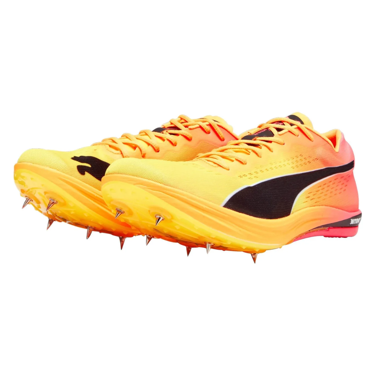 puma men's evospeed long distance nitro elite spikes running shoes puma men's evospeed long distance nitro elite spikes running shoes