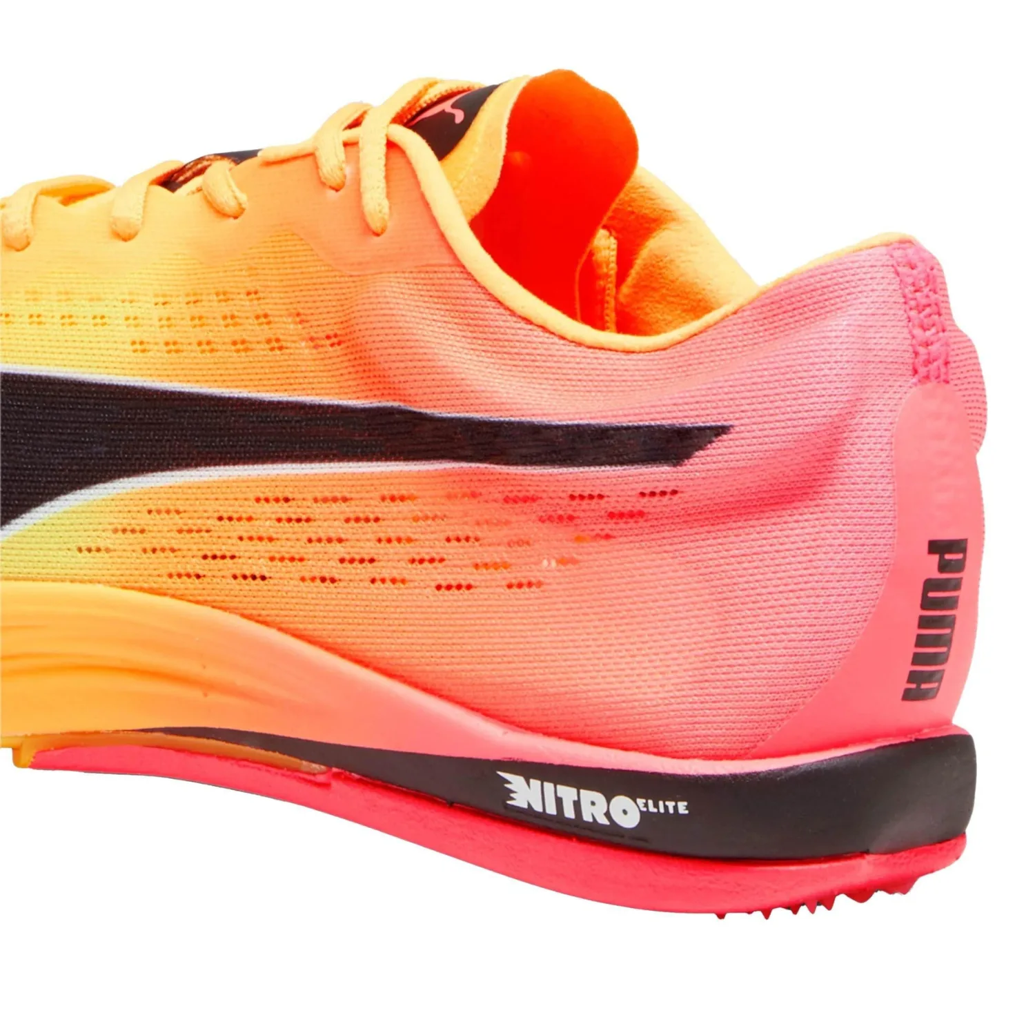 puma men's evospeed long distance nitro elite spikes running shoes puma men's evospeed long distance nitro elite spikes running shoes