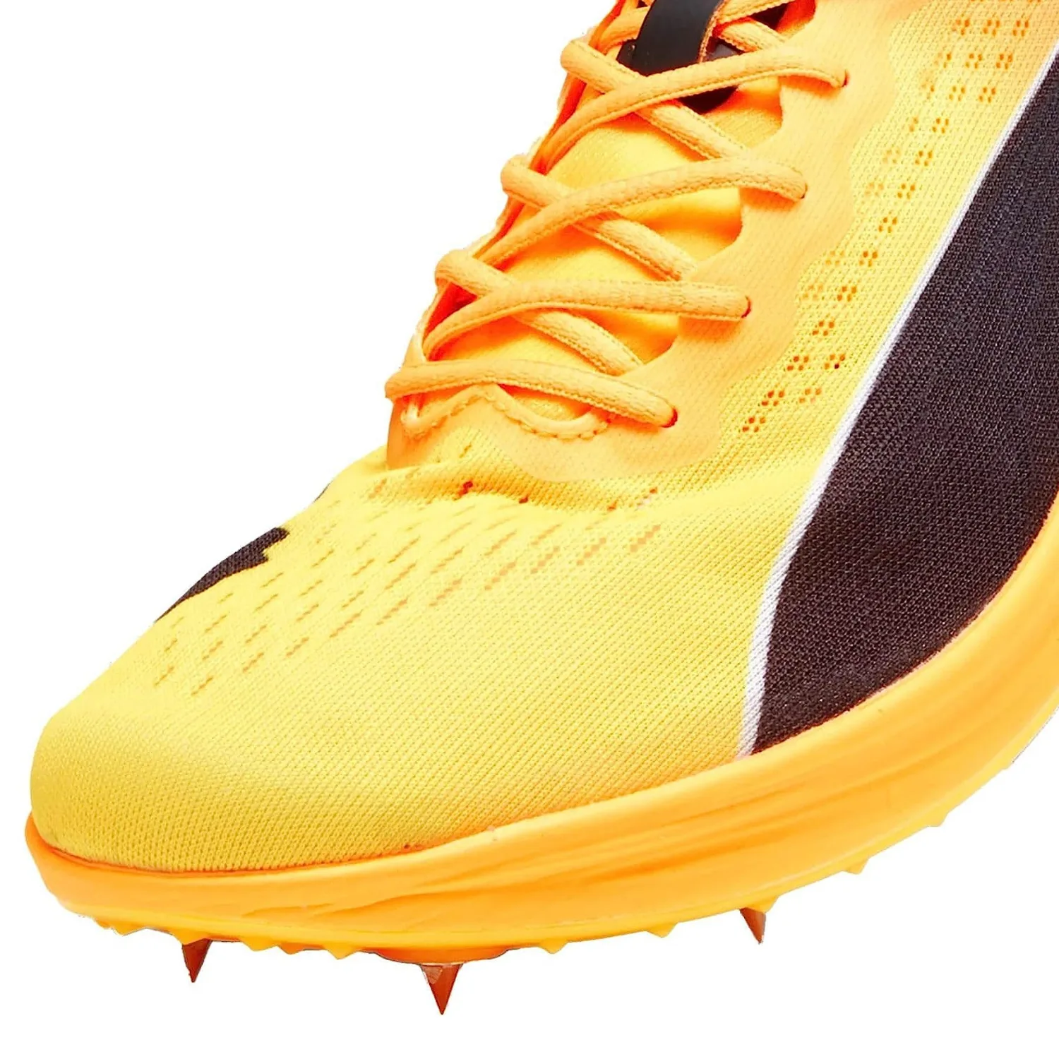 puma men's evospeed long distance nitro elite spikes running shoes puma men's evospeed long distance nitro elite spikes running shoes